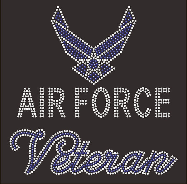 Air Force Veteran